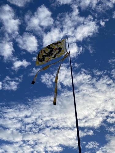ScribalSilkFlag