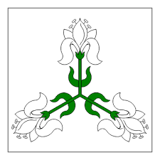 Silver-Lily