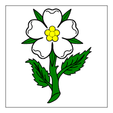 Silver-Rose
